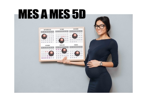 SESIÓN MES A MES 5D